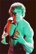 Starting in 1977, The Incredible Hulk had a successful run on the CBS network. The series ran until 1982 (ending on NBC) with Lou Ferrigno portraying the angry green Hulk. Lou Ferrigno potrayed Bruce Banner in The Incredible Hulk