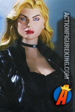 Fully artciulated 13-inch DC Direct Black Canary action figure with authentic fabric uniform.