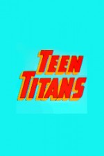 Mego Teen Titans Series