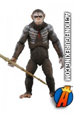 NECA Dawn of the Planet of the Apes Series 1 Caesar action figure.