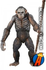 NECA Dawn of the Planet of the Apes Series 1 Caesar action figure.