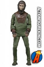 Neca Planet of the Apes 7-inch Cornelius action figure.