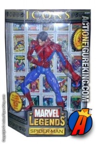 12 Inch Marvel Legends Spider-Man Unmasked variant from their short-lived Icons series.