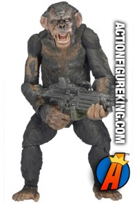 NECA Dawn of the Planet of the Apes Series 2 Koba action figure.