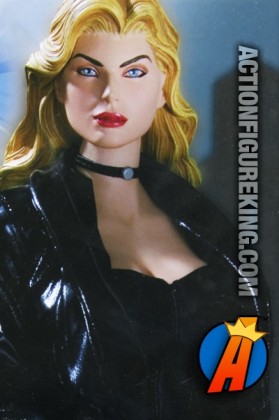 Fully artciulated 13-inch DC Direct Black Canary action figure with authentic fabric uniform.