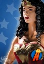 DC Direct presents this fully articulated Wonder Woman action figure with removable cloth uniform.