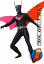 Fully articulated 13 inch DC Direct Batman Beyond action figure with authentic fabric outfit.