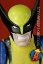 Real Action Heroes sixth-scale fully articulated Wolverine action figure with removable fabric outfit from Medicom.