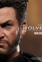 Hugh Jackman or a Hot Toys movie accurate Wolverine Action Figure?