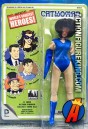 Here&#039;s a packaged sample of this Retro-Action Catwoman figure.