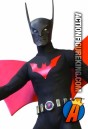 13 inch DC Direct fully articulated Batman Beyond action figure with removable cloth uniform.