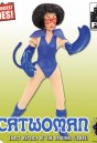 8 Inch Catwoman from the Batman Retro Action series