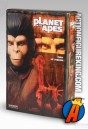 A packaged sample of this sixth-scale Planet of the Apes Zira figure from Sideshow Collectibles.