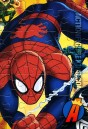 SPIDER-MAN Tin and 48-piece jigsaw puzzle ffrom CARDINAL.
