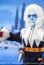 Super Friends animated eight-inch Captain Cold figure.