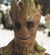 Groot