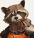 Rocket Raccoon